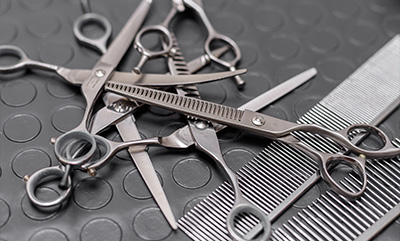 variety of hair cutting scissors and combs arranged on a black surface perfect for professional hair styling 8 tools for hairdressers